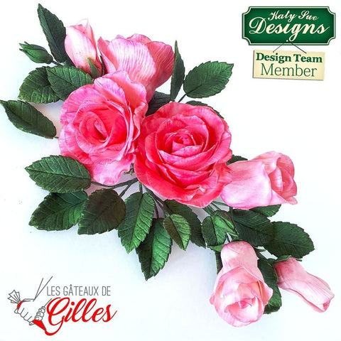 ROSE CONES AND THORNS SILICONE MOULD NLC007 (#102869)