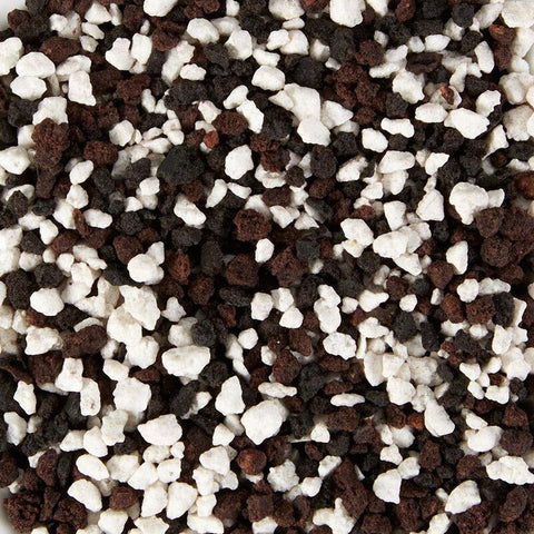 CRUNCHES COOKIE N CREAM 5OZ 710-5365 (#104030)