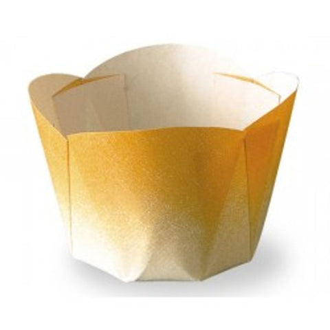 GRADATION CUP/ 10PC (#105636)