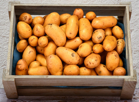 ORGANIC GRENAILLE ALLIANCE POTATOES 0.5KG+/- (#121210)