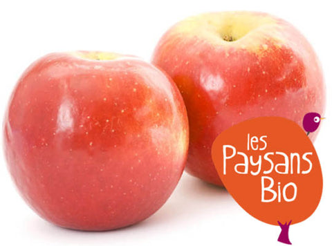 ORGANIC ROYAL GALA APPLE 500G+/- (#125355)