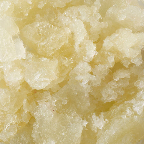 FROZEN LIME PUREE 8024 1KG (#100043)