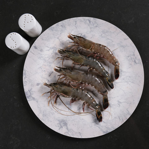 FROZEN TIGER PRAWN HOSO 16/20 (#100350)