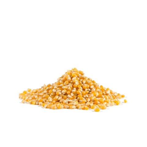 POPCORN YELLOW 30OZ (#100498)