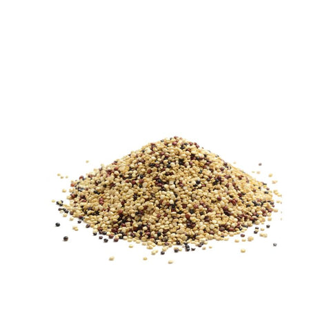 ORG TRICOLOR QUINOA GRAIN 13OZ (#102768)
