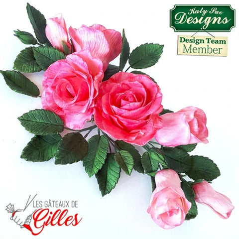 FIVE PETAL ROSE CUTTER SET 3PC CUT001 (#102863)