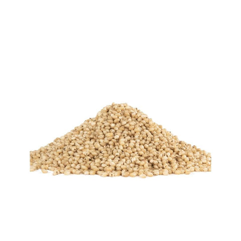 GF SWT WHITE SORGHUM GRAIN 24OZ (#103651)