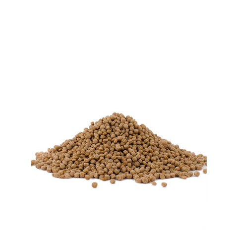 WHOLE WHEAT PEARL COUSCOUS 16OZ (#103912)