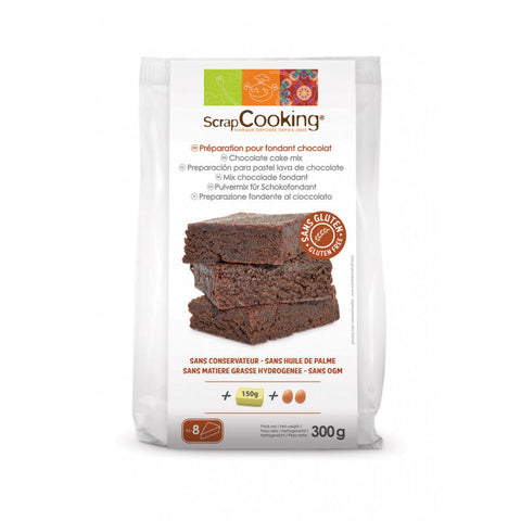 GLUTEN FREE CHOC CAKE MIX 300G (#104092)