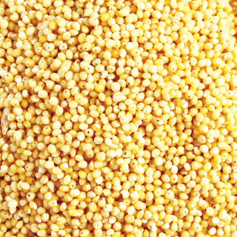 ORGANIC HULLED MILLET 400G (#105460)