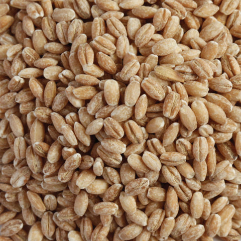 ORGANIC PEARL BARLEY 400G (#105468)