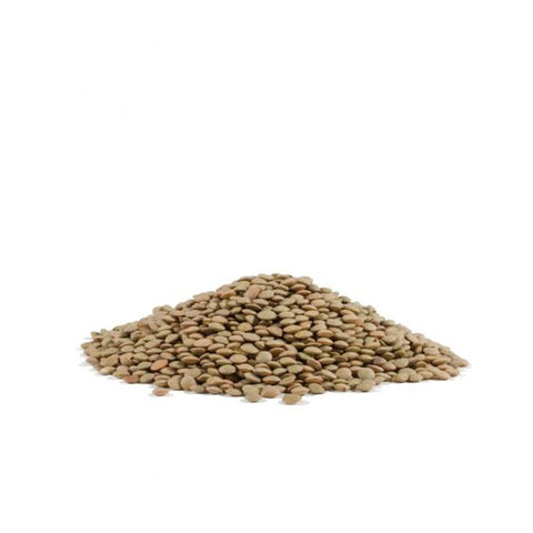 LENTILS BEANS 27OZ (#105509)