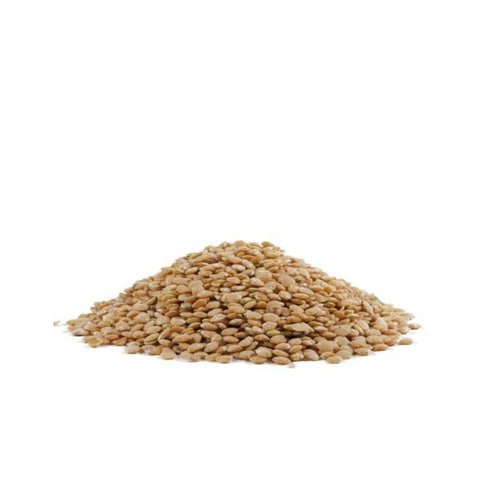 RED LENTILS BEANS 27OZ (#105510)