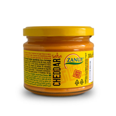 CHEESE SALSA 300G (#108203)