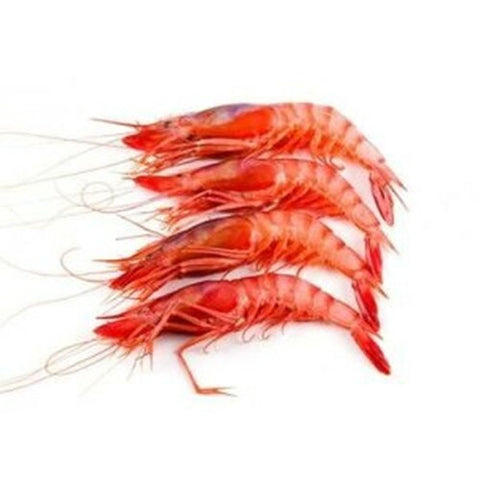 FROZEN ARGENTINIAN SHRIMP HOSO L1 10/20 2KG (#108910)
