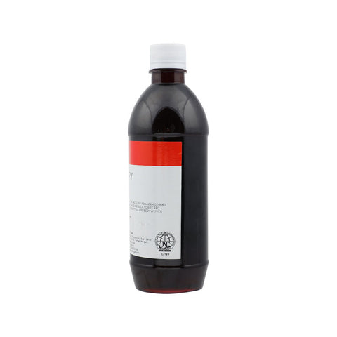 BLUEBERRY SYRUP 510ML (#11869)