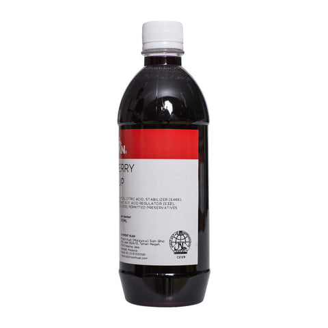 BLUEBERRY SYRUP 510ML (#11869)