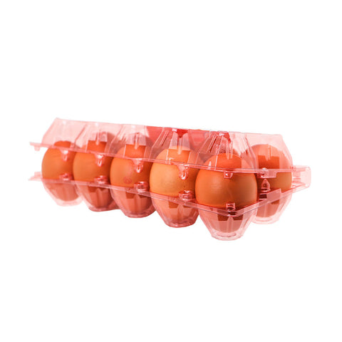 GRADE A FRESH EGGS 10PC 650G (#12088)