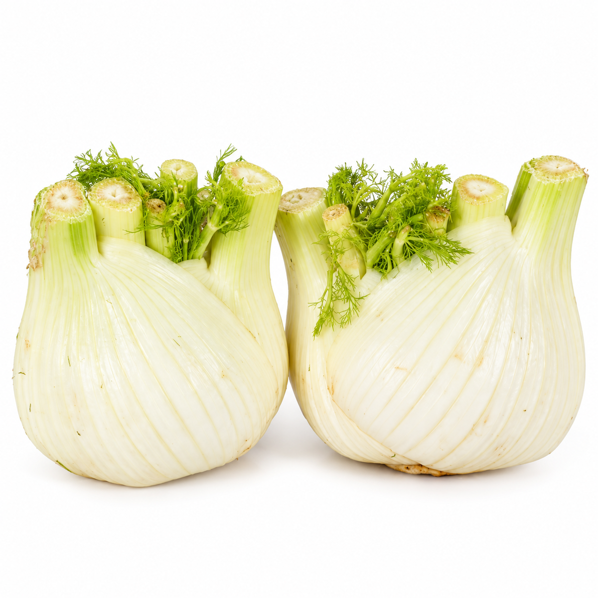 FENNEL 200G (