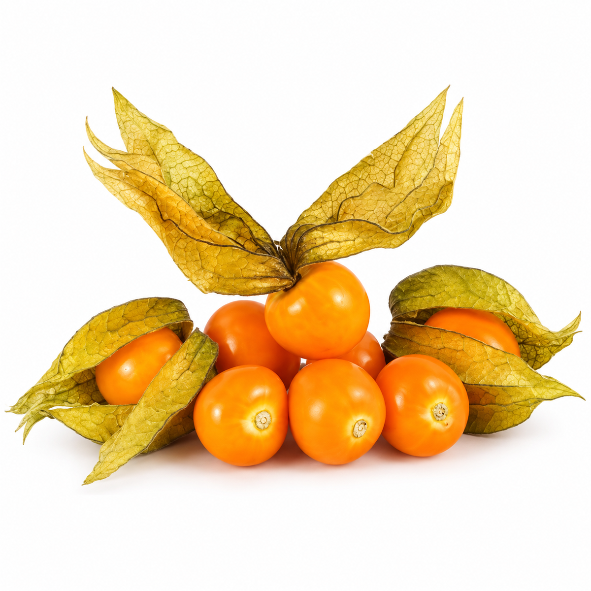 PHYSALIS 100G (