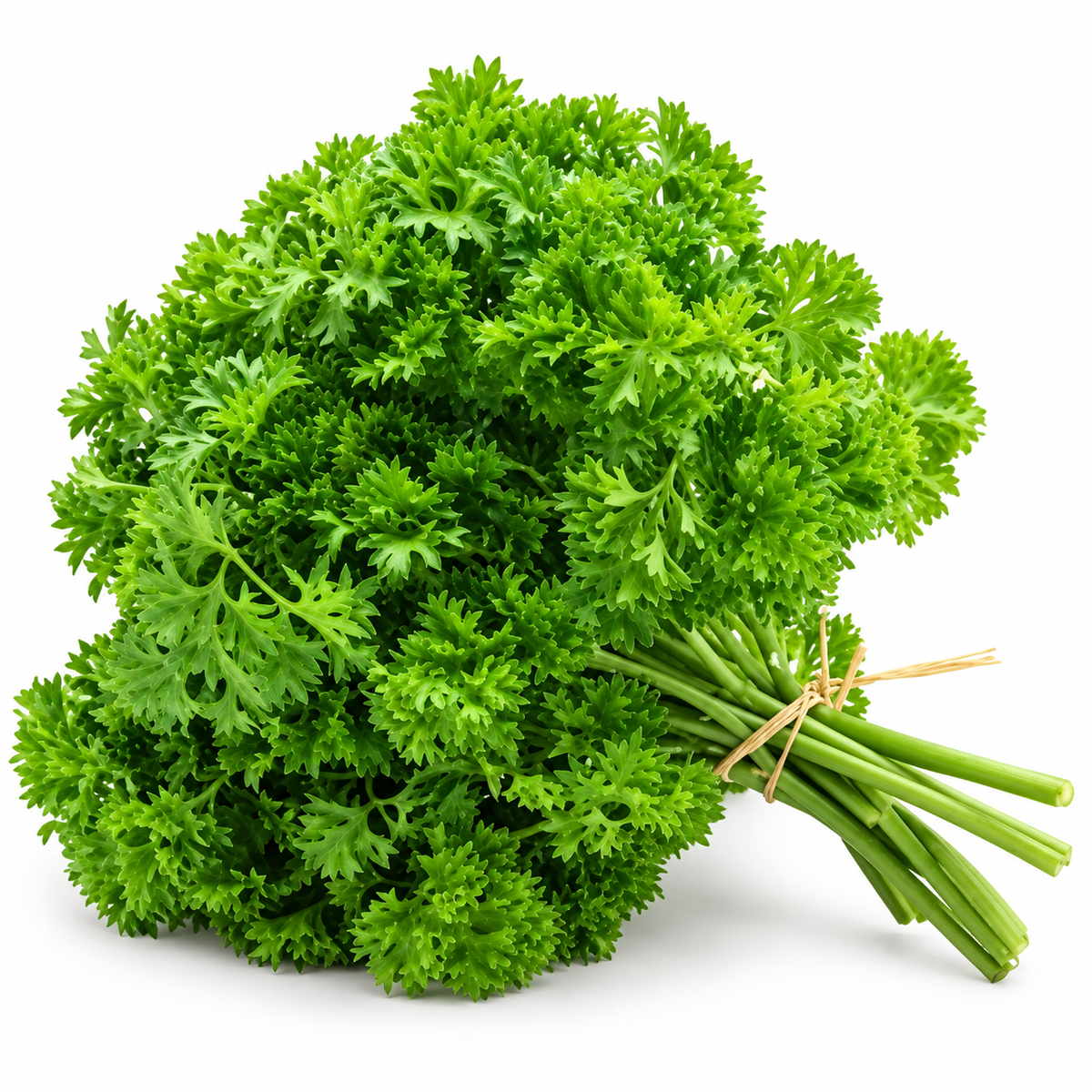 ENGLISH PARSLEY 50G (