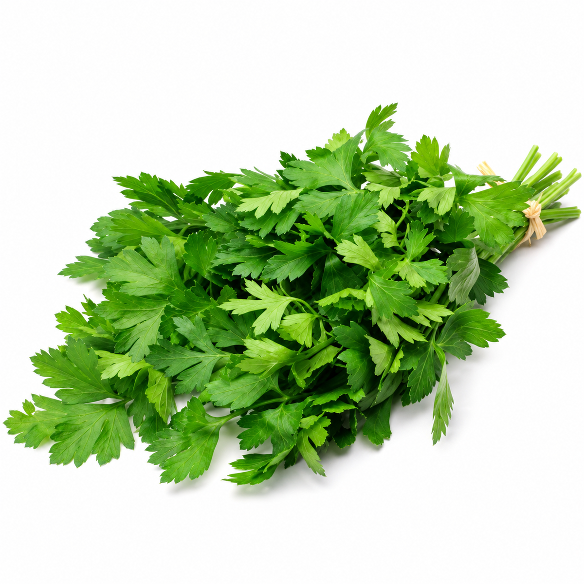 ITALIAN PARSLEY 25G (