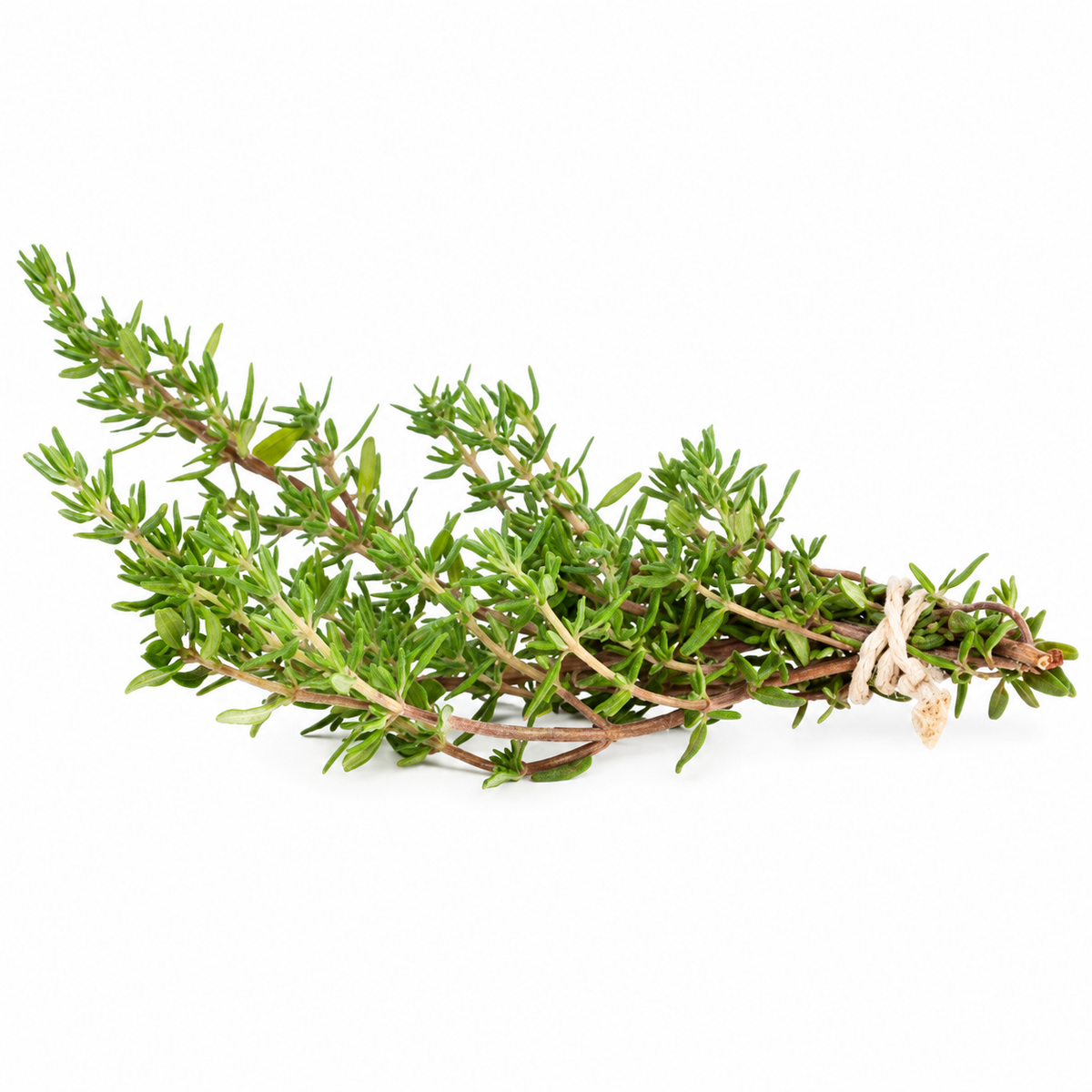 THYME 25G (