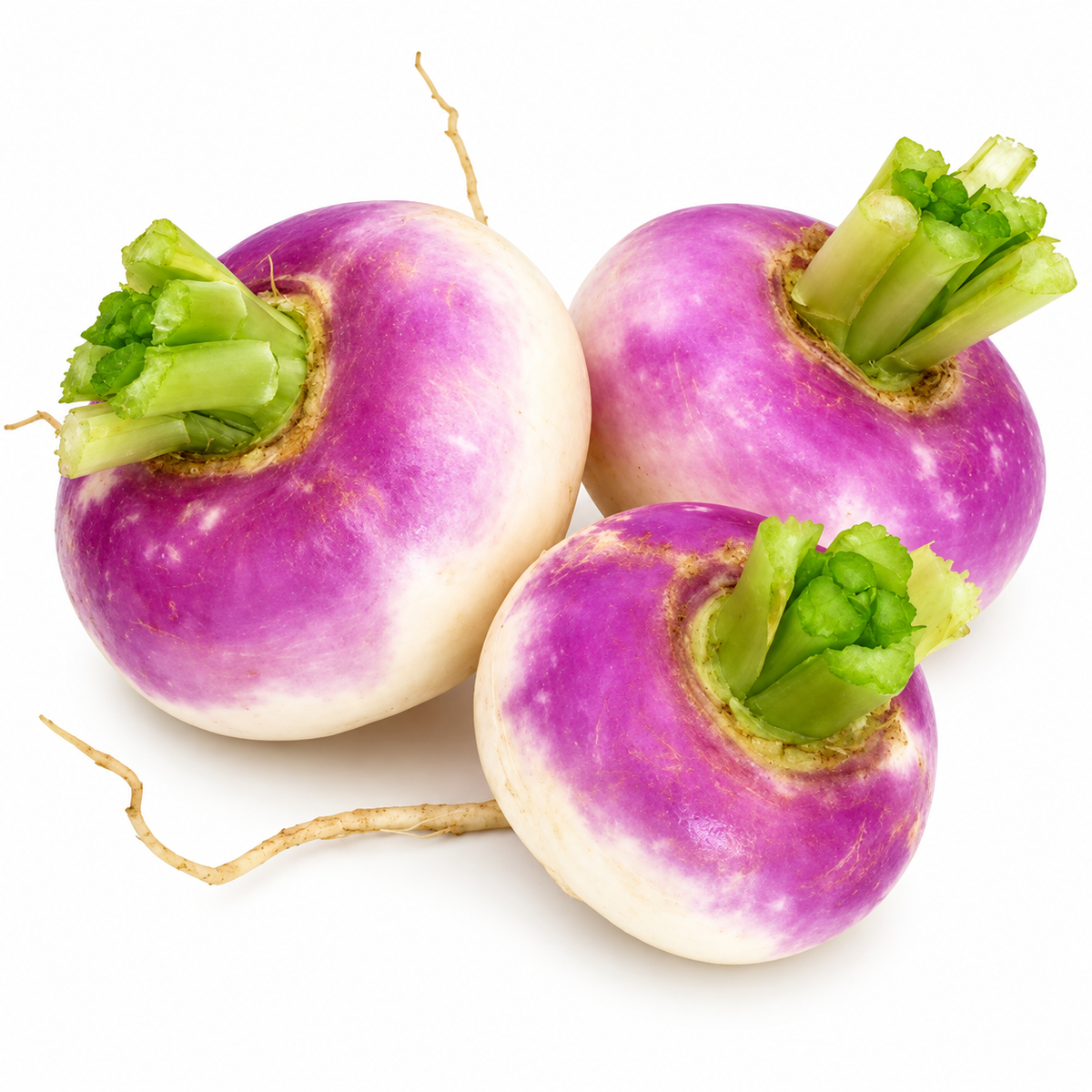 ORGANIC PURPLE TURNIP 0.5KG+/- (