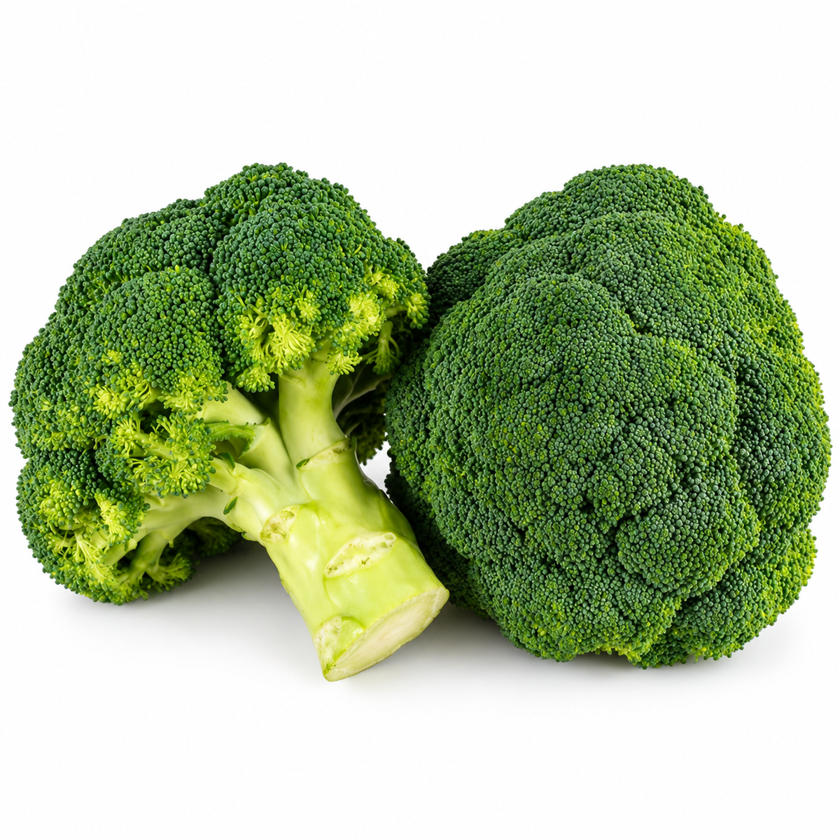 ORGANIC BROCCOLI 0.5KG+/- (