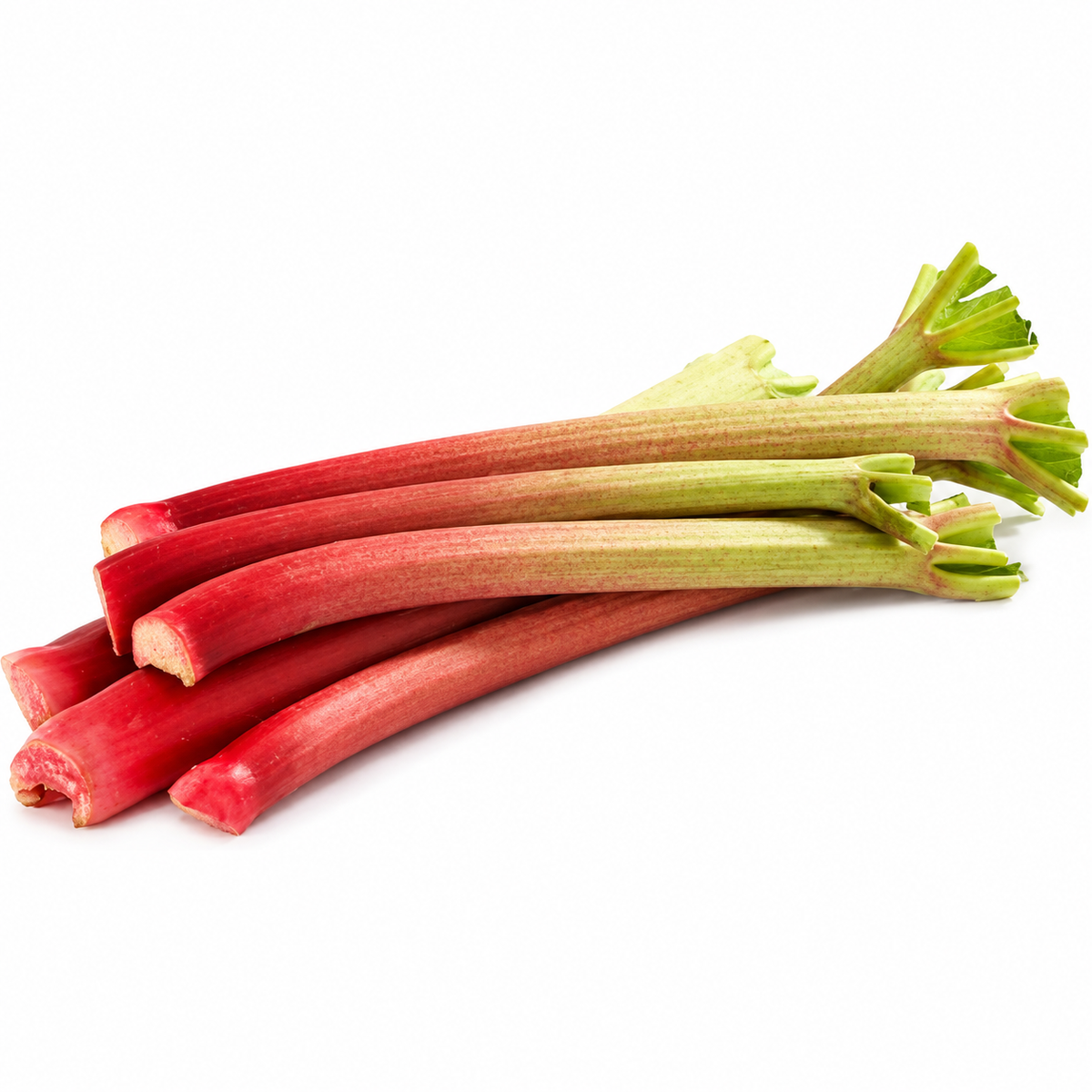 ORGANIC RHUBARB 0.5KG+/- (