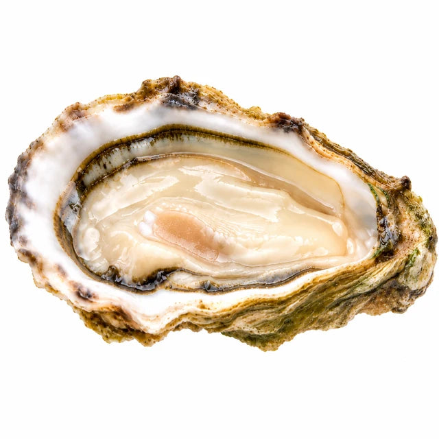 FINES DE CLAIRE OYSTERS NO3 36PC (
