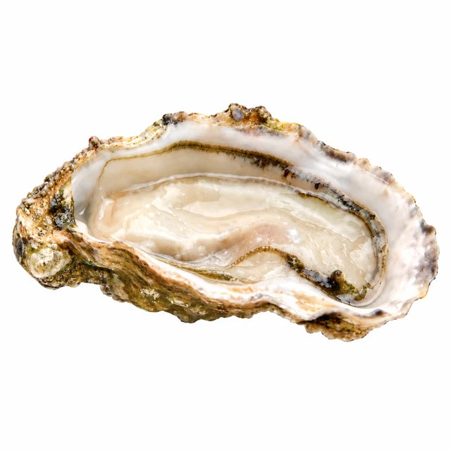 FINES DE CLAIRE OYSTERS NO2 24PC (