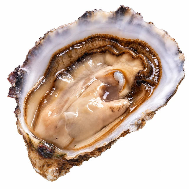 TSARSKAYA OYSTERS NO2X12PC (