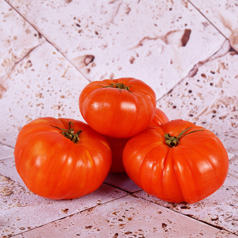 PINK DE BERNE TOMATO 0.5KG+/- (#122666)