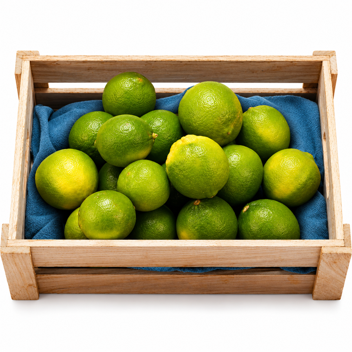 SEEDLESS LIME 6PC (