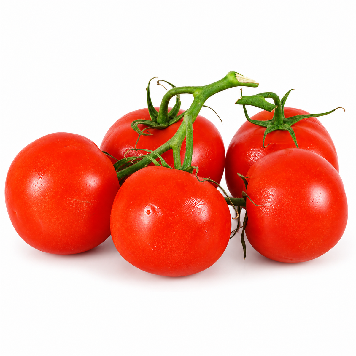 TOMATOES ON VINE 500G (