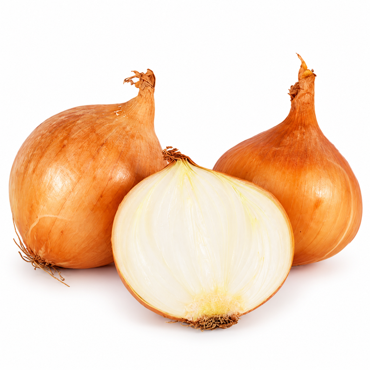 YELLOW ONION 500G (