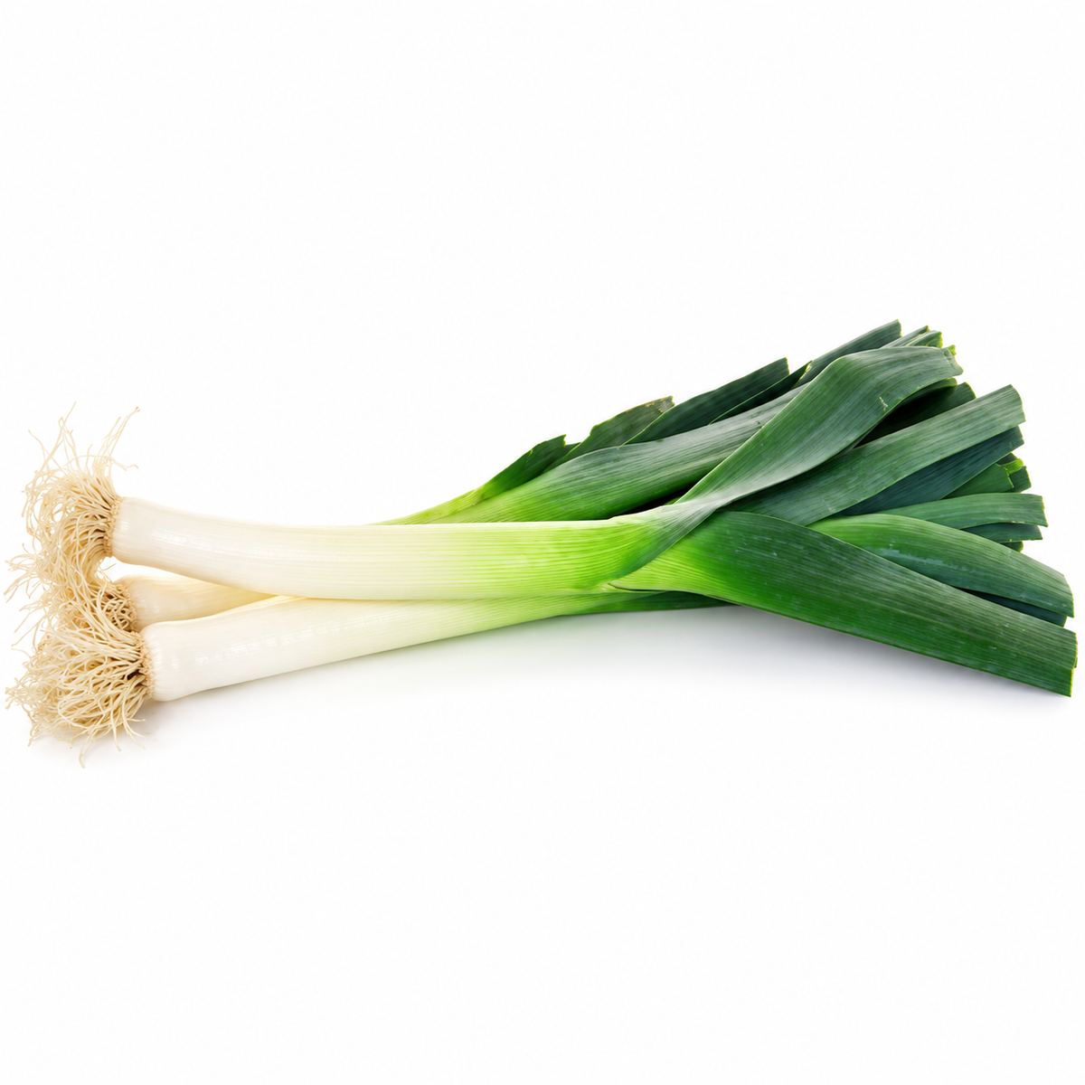 LEEK 500G (