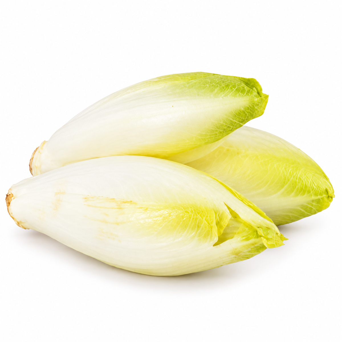 ENDIVES 300G (