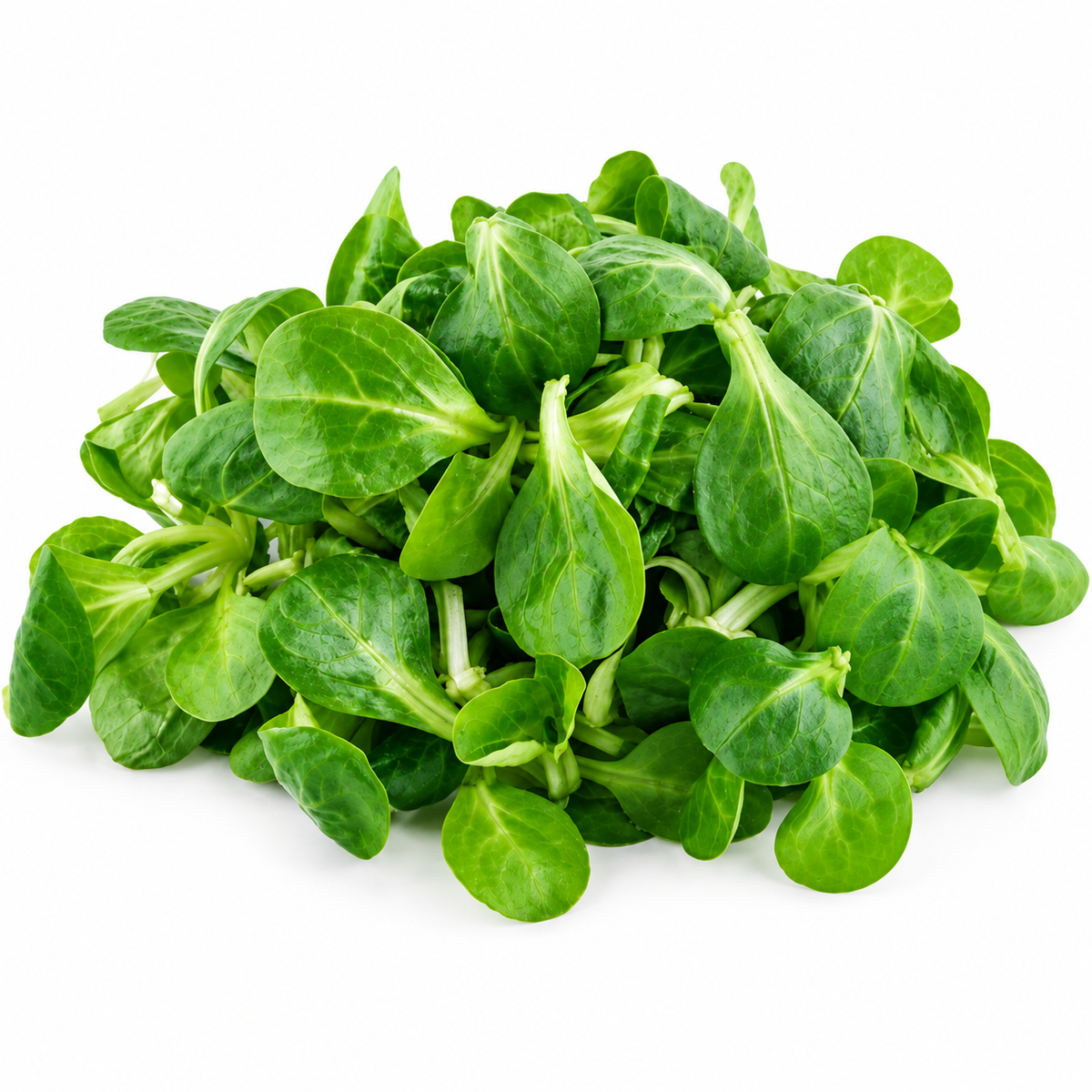 ORGANIC LAMBS LETTUCE 0.1KG (