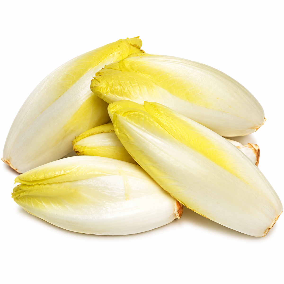 ORGANIC ENDIVE 0.5KG+/- (