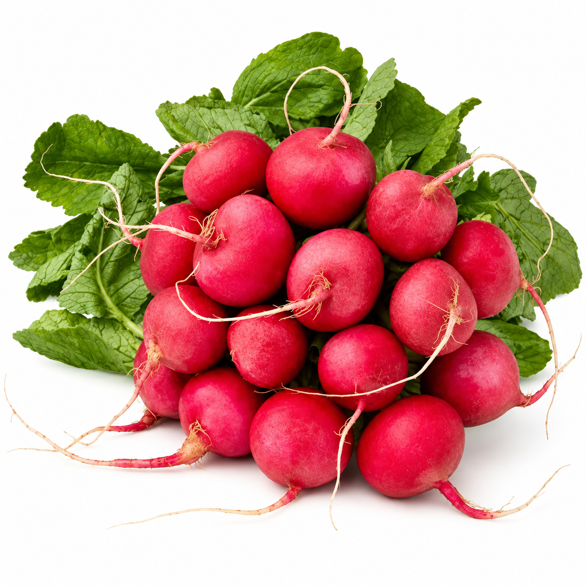 ORGANIC RED ROUND RADISH (1PC) (