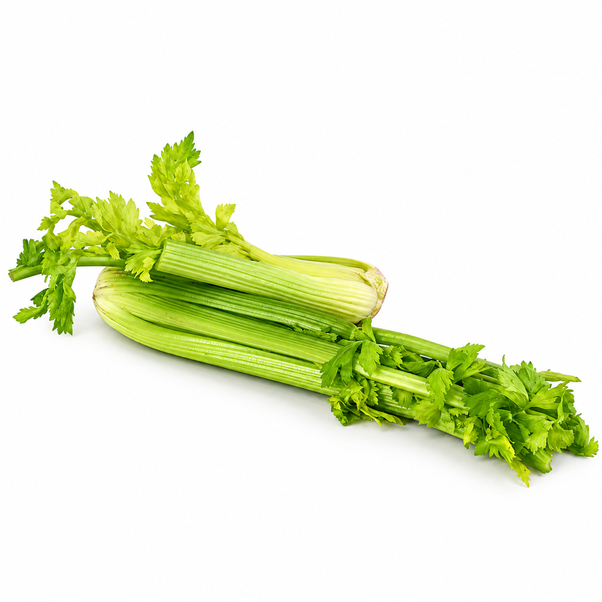 ORGANIC CELERY 400G (