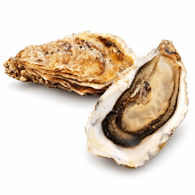 SPECIAL OYSTERS S ISTRENN (SMALL SIZE) 24PC (