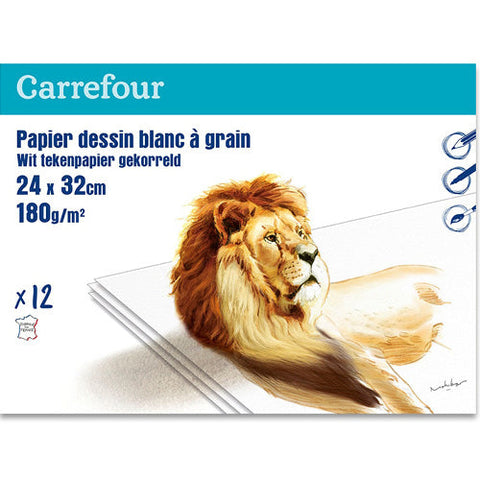 PACK OF 12 SHEETS DRAWING PAPER 12PC (#119860)