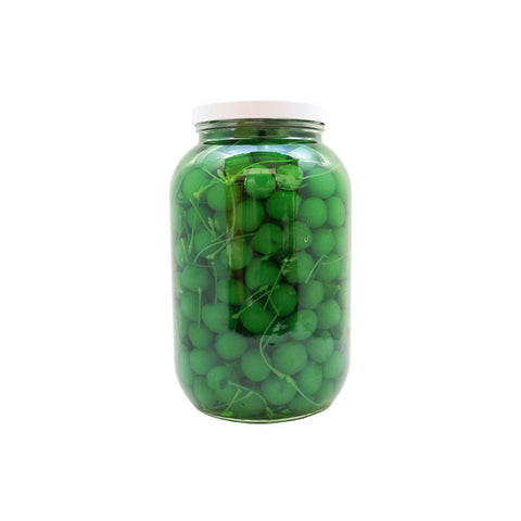 MARASCHINO CHERRY- GREEN 1GAL (#15117)