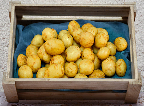 SMALL NOIRMOUTIER POTATOES 1KG (#122692)