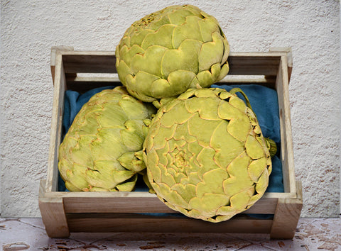 APOLLO ARTICHOKE 1KG (#122668)