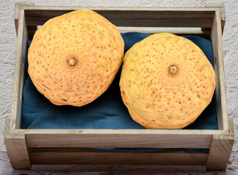 CELERIAC 1KG (#122651)