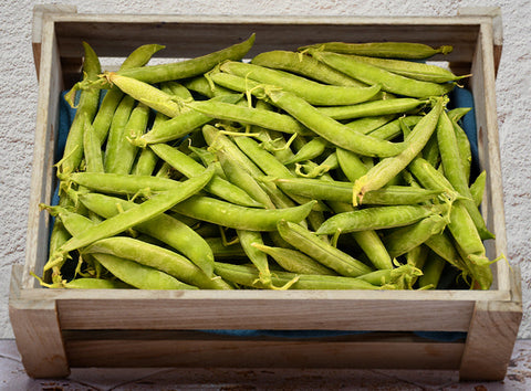 PEAS EXTRA FIN 1KG (#122672)